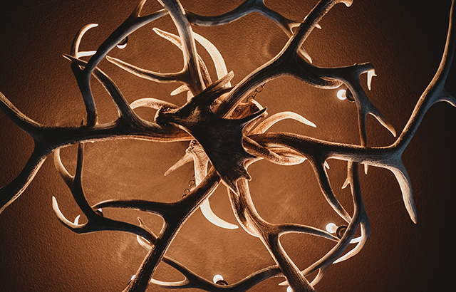 Antler chandelier