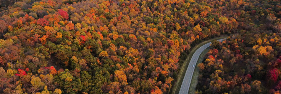 Lush landscape surrounding the Stoney creek galena hotel