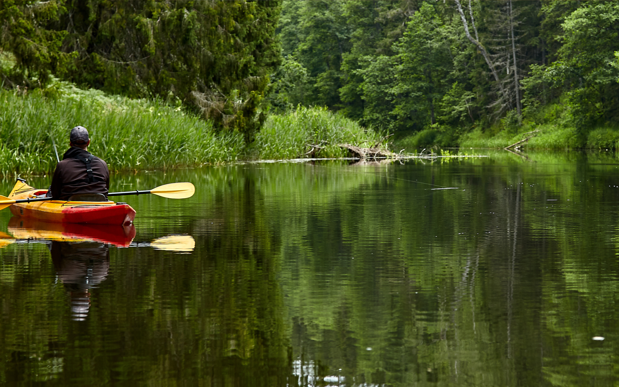 4 Best Stoney Creek Stays for a Day on the Water