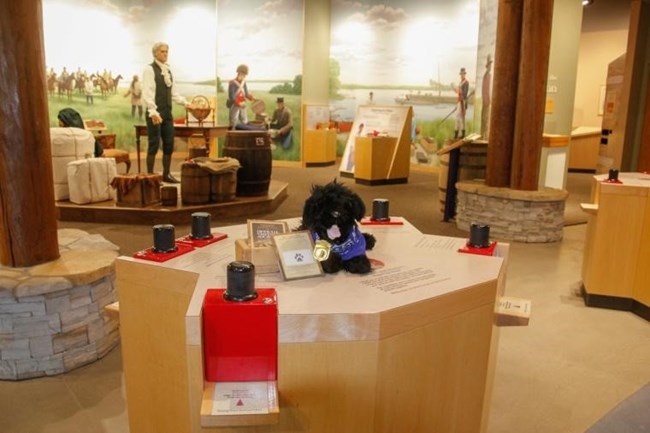 An exhibit at the Lewis & Clark Interpretive Center