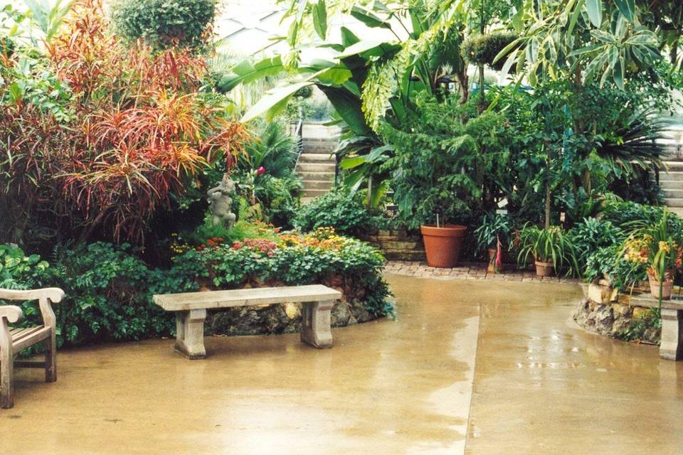 The conservatory at Luthy Botanical Garden