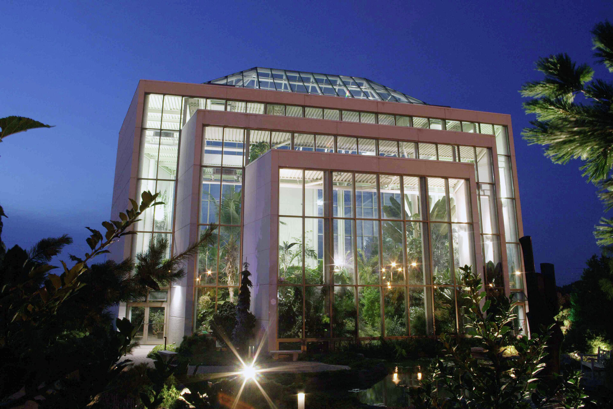 Inside the tropical dome at the Quad City Botanical Center