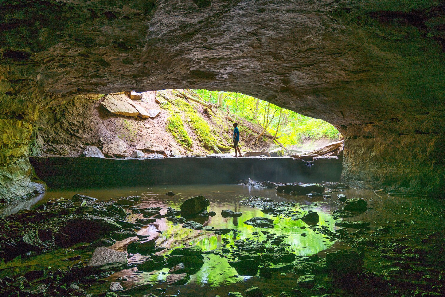 Rock Bridge Memorial State Park